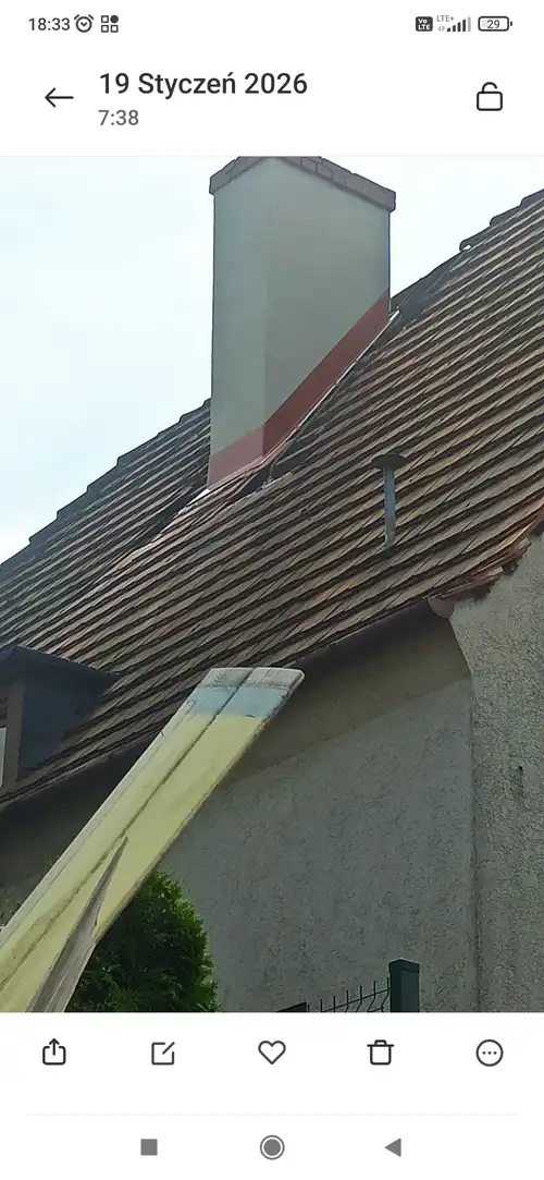 Przycinanie dużych drzew na działkach .prace ogrodowe 